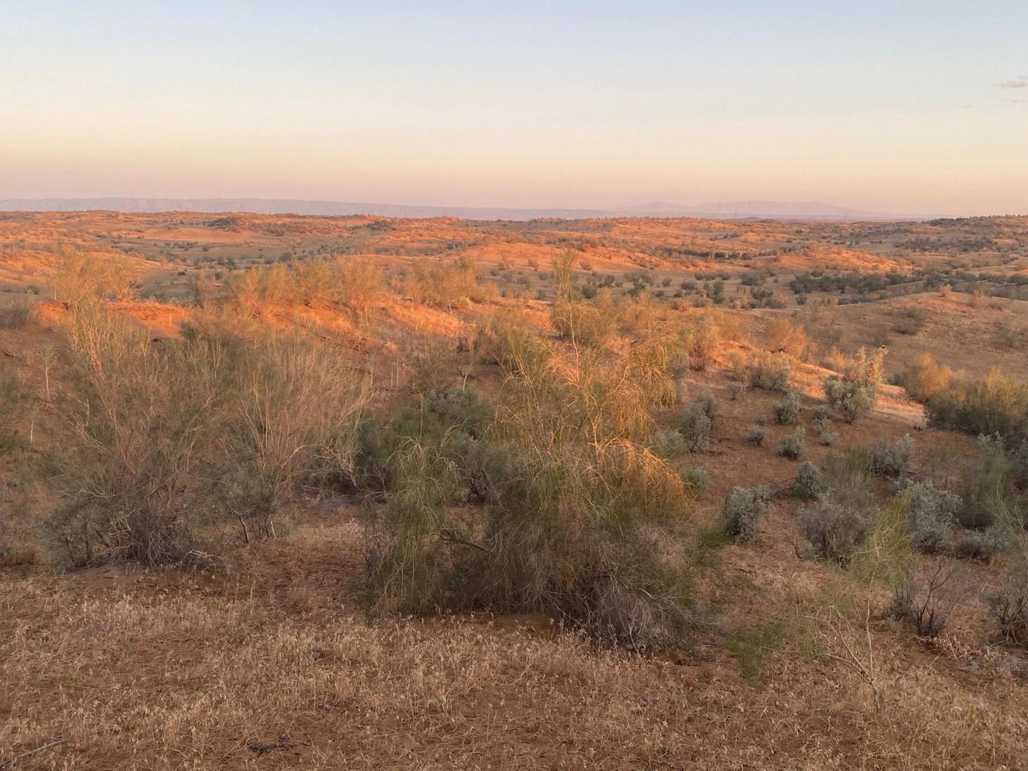 ホテル Authentic Uzbek Yurt Camp Eco-Friendly Nurota エクステリア 写真