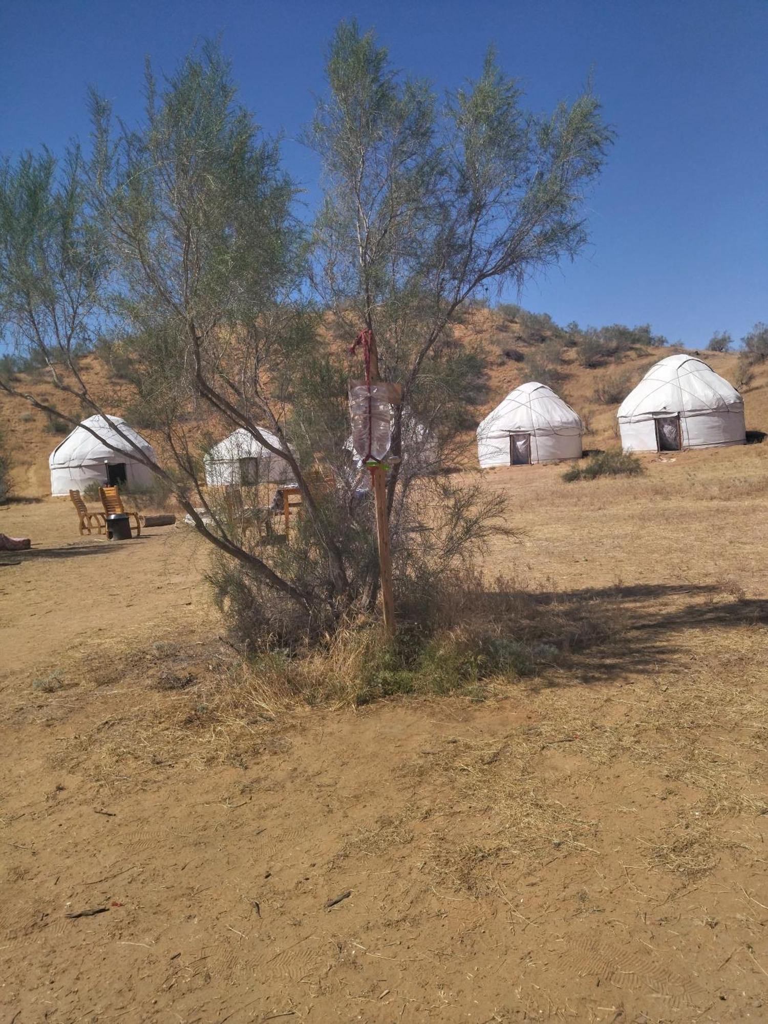 ホテル Authentic Uzbek Yurt Camp Eco-Friendly Nurota エクステリア 写真